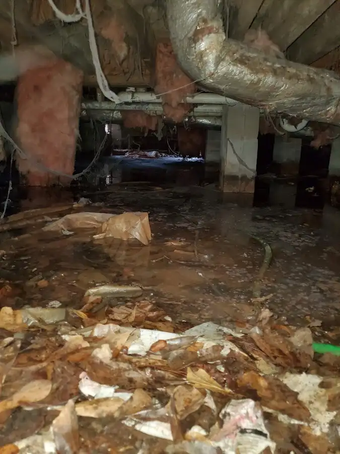 Crawl space flood assessment for Leak Detection & Repair in Inwood